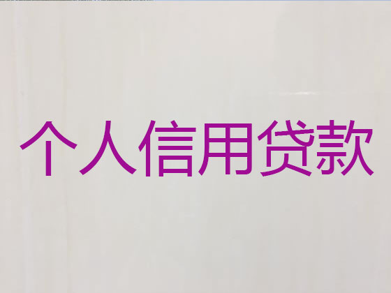 莱州市本地贷款中介